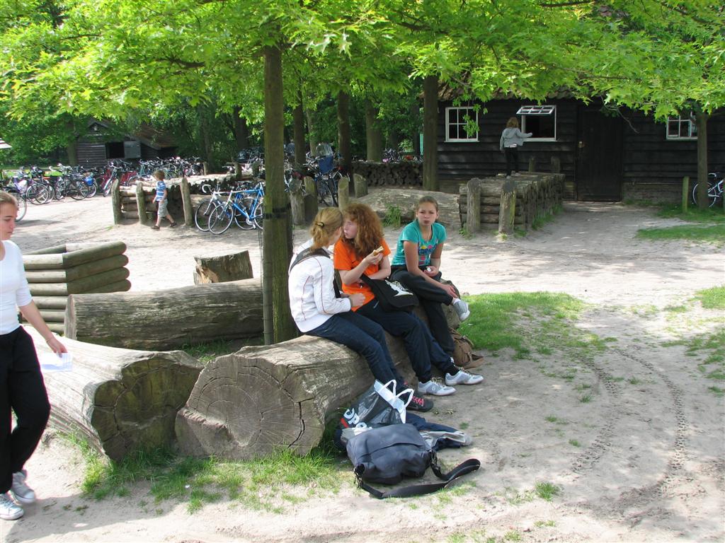 IMG_6030 (Large).jpg